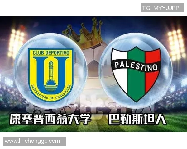 康赛普希文大学与巴勒斯坦人之间的文化交流与理解探讨